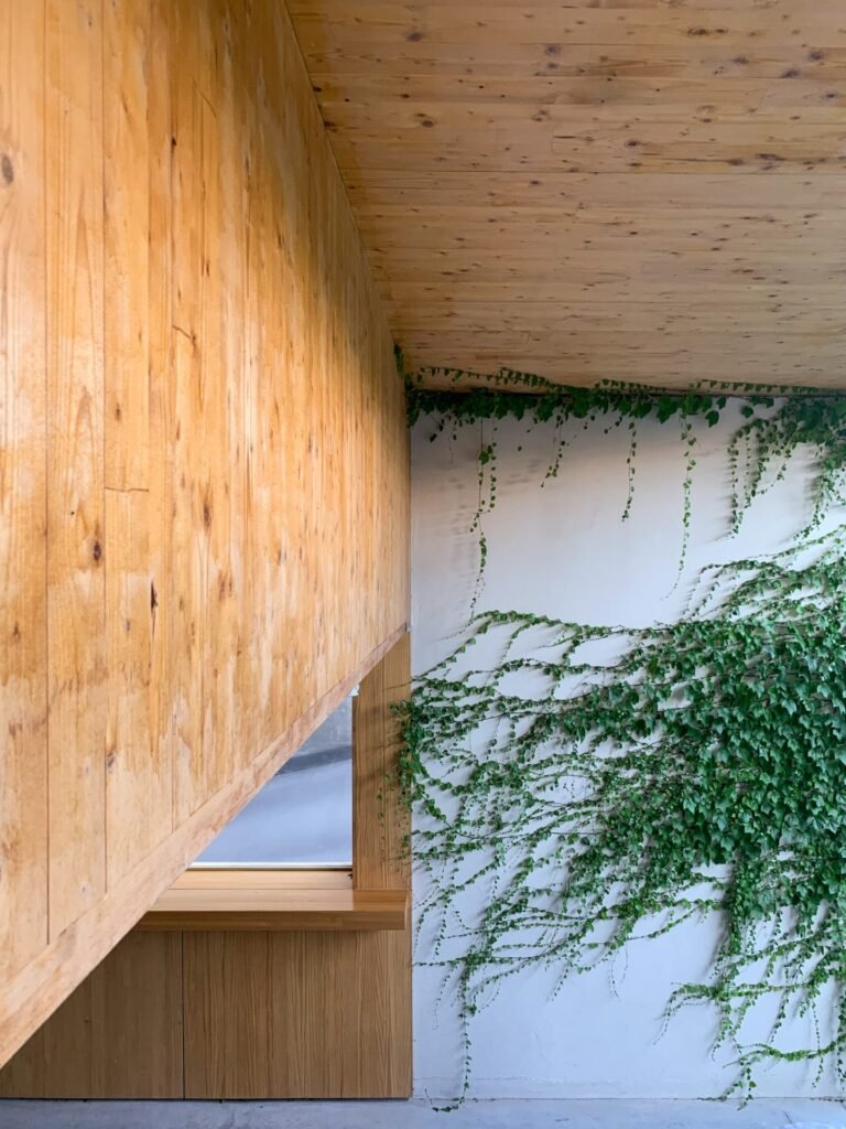 Casa Clara — fotografía de Silvia Paredes (10)